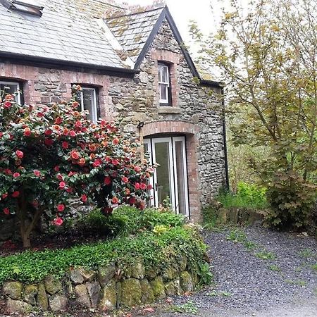 Cwmbrandy Cottage Fishguard Exterior photo