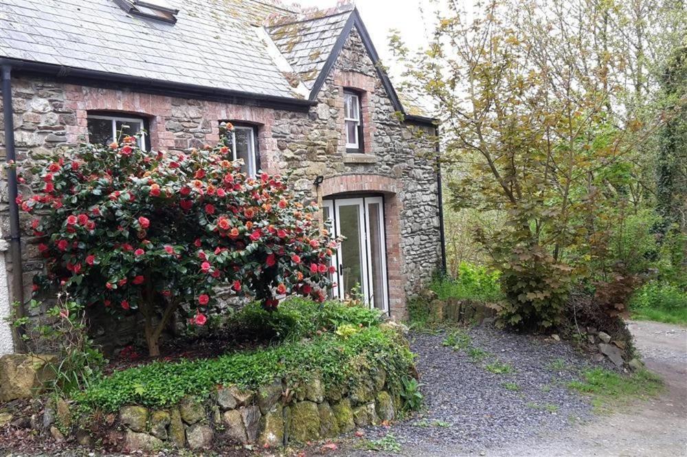 Cwmbrandy Cottage Fishguard Exterior photo